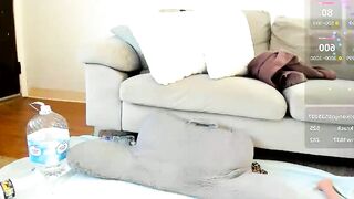 peachespanties123 - Live Chaturbate joy Recorded stream pussyplay punk