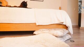 sammarastone - Live Chaturbate me roleplay Webcast replay pvtopen