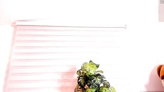 miss_curazao - Live Chaturbate funny bbc Virtual show abs