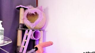 sky_dkt - Live Chaturbate Streaming archive Recorded stream bigass rimming