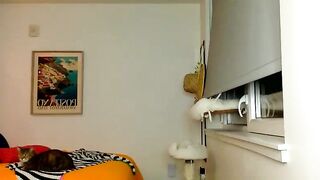 anisummers - Live Chaturbate teengirl cuckold kink spoil