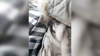 yinyin326 - My Stripchat Stream interactive-toys-milfs big-clit doggy-style-creampie anal-masturbation nipple-toys