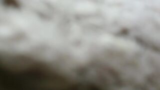 Luckyalice_4u - My Stripchat Stream best big-ass-white anal-white best big-ass-doggy-style