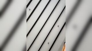 curchez_ - My Stripchat Stream interactive-toys-young rimming latin-foot-fetish pussy-licking footjob