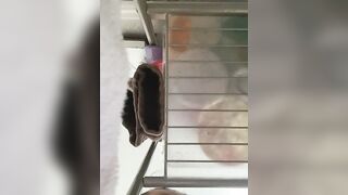 badbaby187 - My Stripchat Stream dirty-talk black-hair sexting shaven mistresses