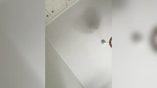 MadCat97 - My Stripchat Stream hd cock-rating white-young romantic-white striptease-young