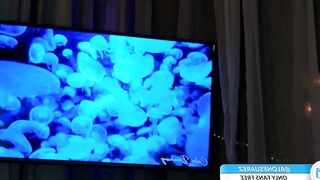 alondra_on_fire - New Live Chaturbate hot moment give barefeet ride