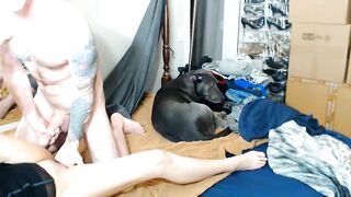 crownandkat - New Live Chaturbate Stream archive shy livechat bestass