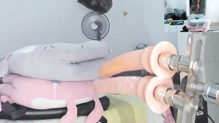 Pauliny23sex - My Stripchat Stream latin-cuckold big-ass latin-milfs sexting role-play-milfs