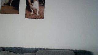 FireFoxy80 - My Stripchat Stream cheap-privates blondes-blowjob dildo-or-vibrator german-milfs tattoos-white