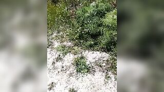 Samira-Summer - My Stripchat Stream mobile-milfs topless-milfs foot-fetish-milfs pussy-licking small-tits