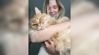 RollDollsi - My Stripchat Stream student cowgirl twerk-white squirt-young big-tits-deepthroat