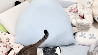LHeart - My Stripchat Stream striptease deepthroat-blowjob orgasm blowjob sex-toys