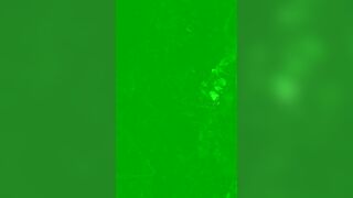 captainofgirl - My Stripchat Stream cheapest-privates kissing kissing ebony cheapest-privates-young