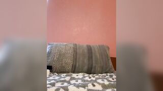 Celestequen - My Stripchat Stream italian-young shaven gym-babe trimmed-white shaven