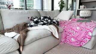 graciemae_baexx - Chaturbate Models groupshow lactation pretty jeans