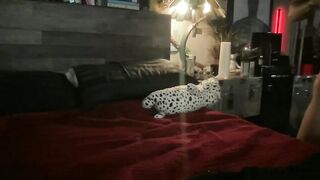 dkbankz - Chaturbate Models straight party livecam pussy