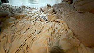 loveliasecret - Chaturbate Models Live capture squirtshow latex Webcast replay
