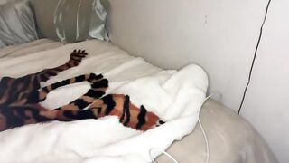 addisonn3 - Model Chaturcam hotwife saliva strapon bicurious