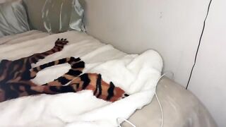 addisonn3 - Model Chaturcam hotwife saliva strapon bicurious