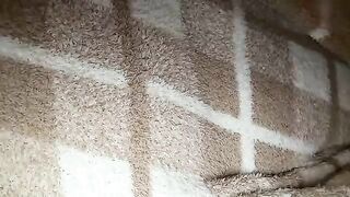 secret18slaveanon - Model Chaturcam longlegs pink lushon lovenses