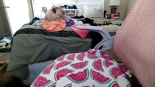 boredcountrygirl - Model Chaturcam bigballs koikatsuparty arab cumslut