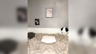 ChiaraMauzi - Model Stripcam massage doggy-style-creampie twerk-young petite-young recordable-publics