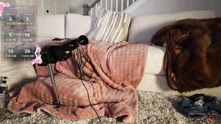 aviblush - Model Chaturcam squirtshow edging analplug hugeass