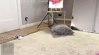 endlessmia - Model Chaturcam whore str cei hotwife