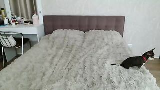candymini - Model Chaturcam pussyplay slimbody cumwhore cam model