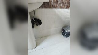 Miss_Anjali_Sany - Model Stripcam shower recordable-publics sexting sexting 69-position
