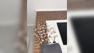 CurvyDesire1 - Model Stripcam middle-priced-privates-best anal-ebony topless-young curvy-ebony middle-priced-privates-best