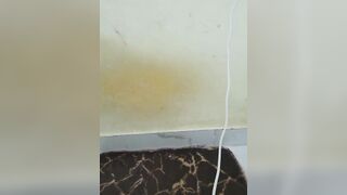 Begum_Jaaan - My Model Stripcam cam2cam oil-show teens dirty-talk masturbation