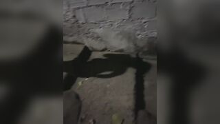 city2027 - My Model Stripcam big-tits-blowjob deepthroat gape non-binary threesome