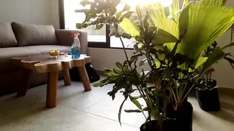 Videos Tagged with sweetpiee
