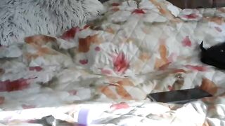 ana_alex77  - Record  [Chaturbate] black-thugs blowjob orgia shemale-anal