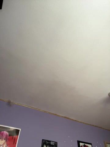 charlotte_stevenss_